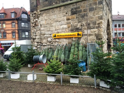 Tannenbaum sorgt für Ärger Rechtliche Regelungen rund um den Weihnachtsbaum
